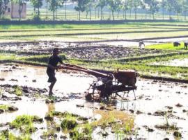 Petani Karangmojo Mulai Membajak Sawah